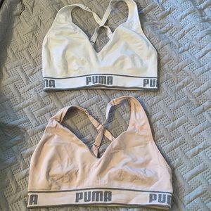 sports bras